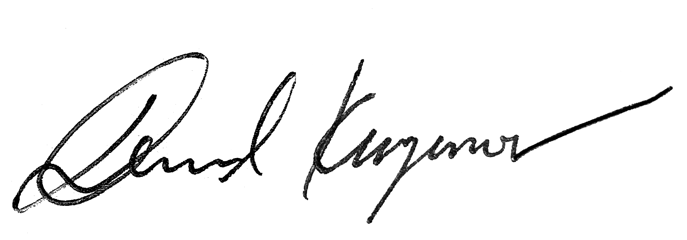 Daniel Kurganov’s handwritten signature